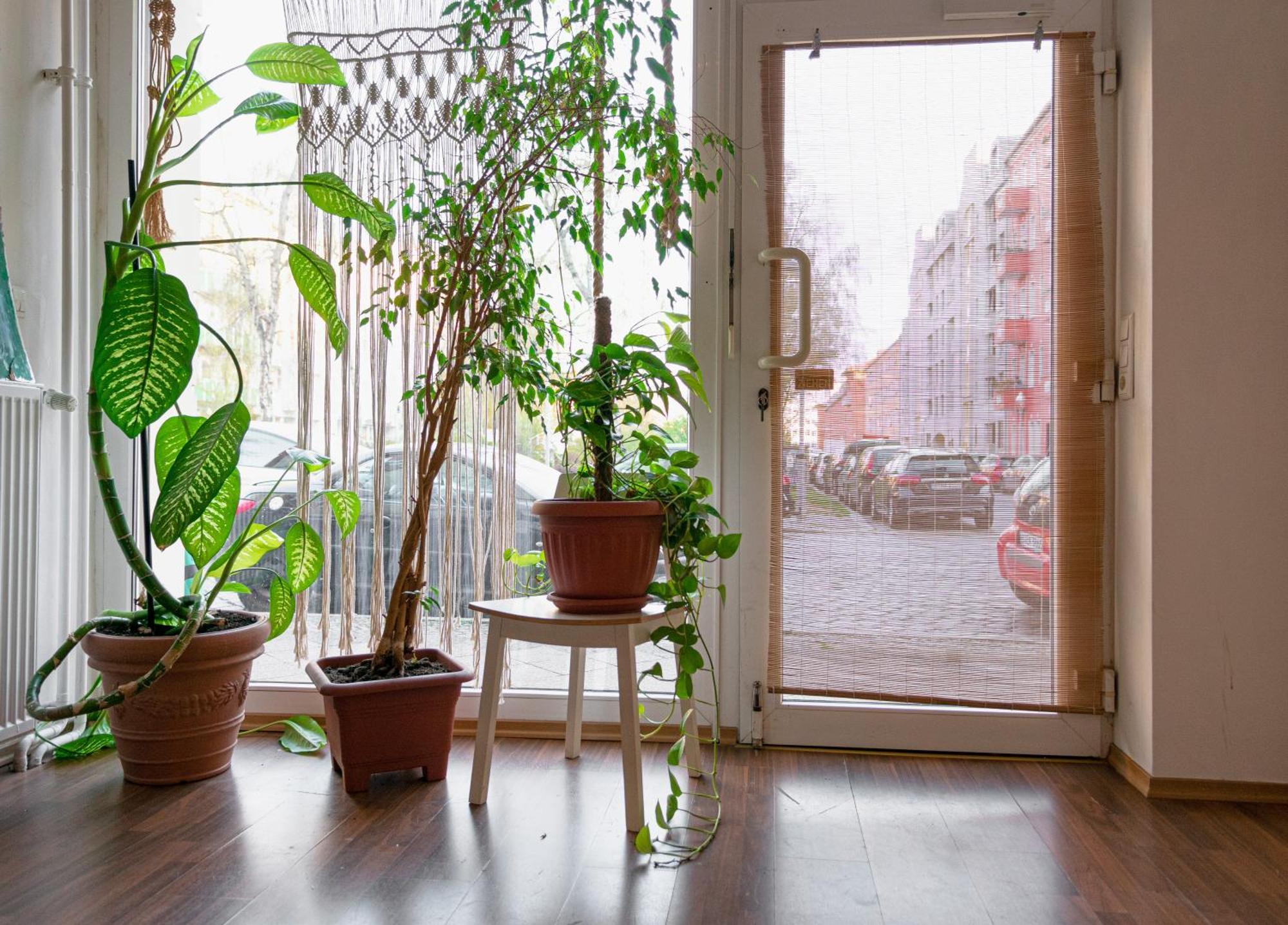 Boutique Altbau Apartment Berlin Extérieur photo